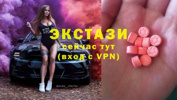 сатива Сатка